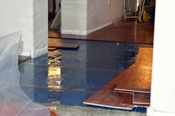 Professional Basement Flooding technician working in Plymouth, WI